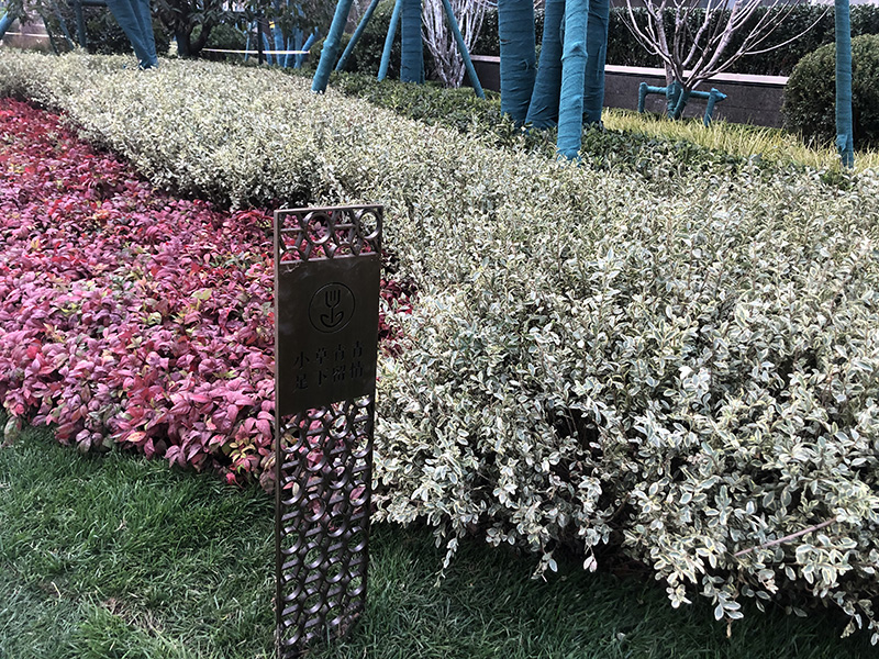 小區(qū)戶(hù)外景觀花草牌